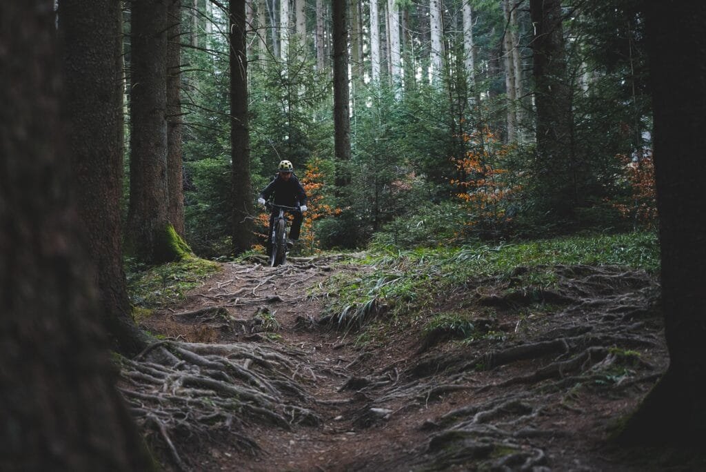 Chico que esta practicando ciclismo en medio del bosque y que porta un casco de seguridad junto con guantes